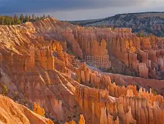 竟博官网 -利物浦主帅克洛普为什么叫渣叔