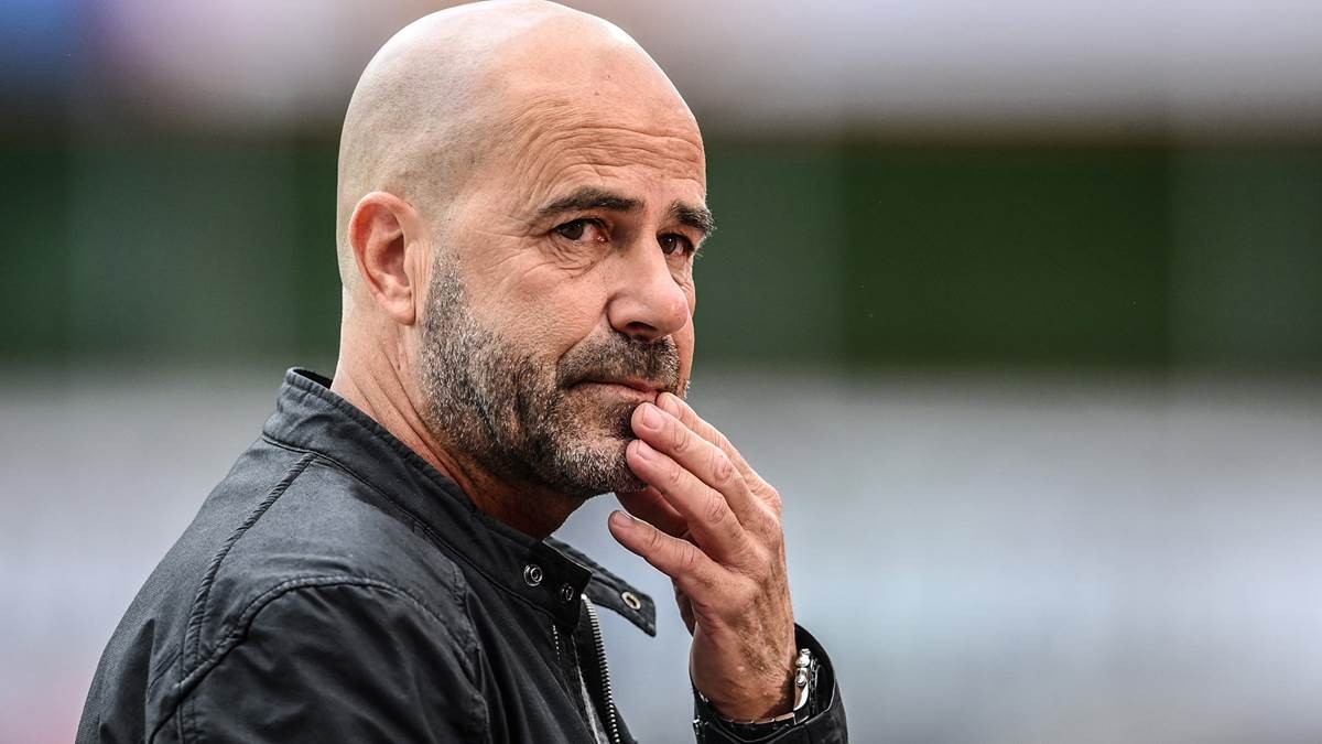 竟博电竞 -勒沃库森足球俱乐部近期最新消息